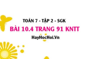 Bài 10.4 trang 91 Toán 7 Tập 2 Kết nối tri thức